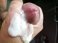 Sexoholik3288