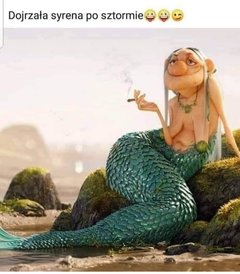 aniajato