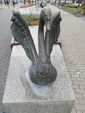 Niesmialydyskretny