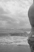 eross69