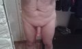 Alf2