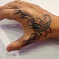 scorpionki6969