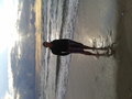 Kacper181