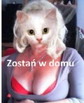 Ninka20