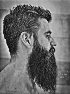 Bearded88