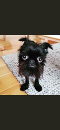 Samson_69