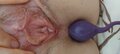 slupsk1973