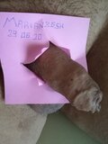 marian86SK
