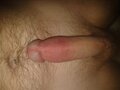 MichalOpO40
