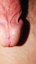 Barni0440