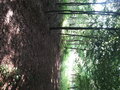 micham29