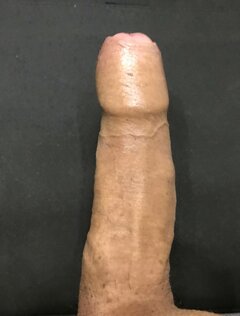 sobnik