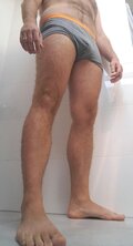 Vingus