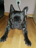 Kolo_luzak87