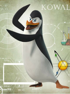Kowalski_opcje