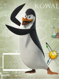 Kowalski_opcje