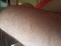 Nienasycony01