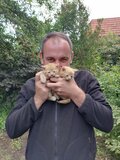 Korkowiec