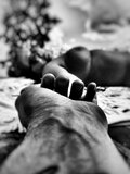 AnnPrzem_7978
