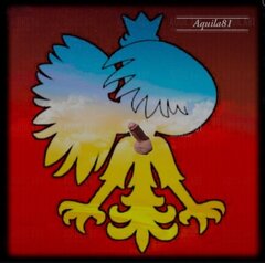 aquila81