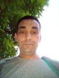 Pies8899