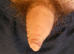 Pervver