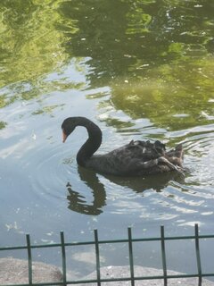 Lukasr
