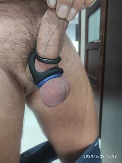 vigado