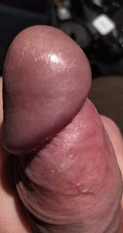 Maxi_king1