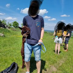 Chabit1