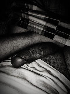 Rebel_Rebel