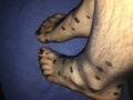 Noob131618