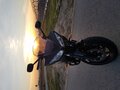 Nussi81