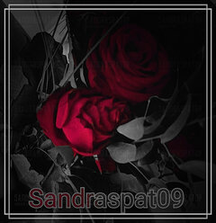 sandraspat09