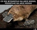 ManiaMo