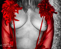 myrazem88