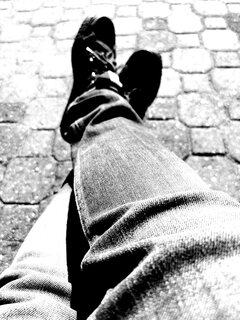 rexio_