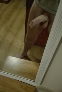DanielPL69