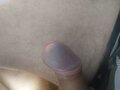 Pawcio199012336