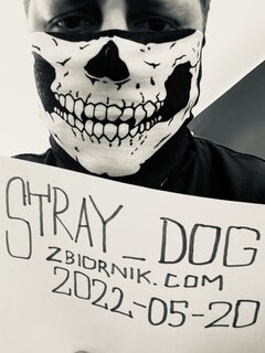 Stray_dog