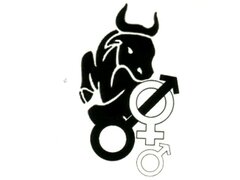Bull_Master
