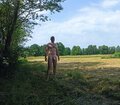 Picea81