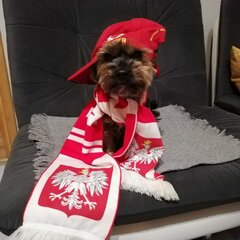 TOFIK_REAKTYWACJA