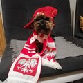TOFIK_REAKTYWACJA