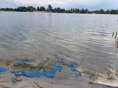 Wykladowca