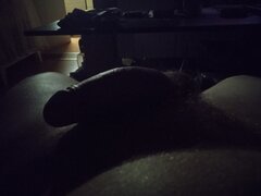 Brylant3