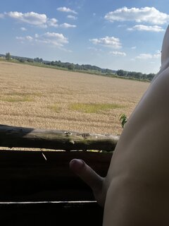 Kamilsll