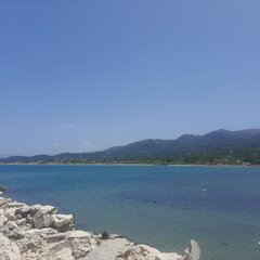 A2018