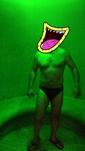 panforfun