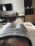 PureReason